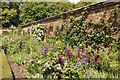 Part of the Walled Garden