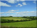 Pastoral view from St Cynin