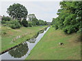 The New River north of Myddleton Road, N22