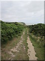 TQ8309 : Saxon Shore Way footpath to Ecclesbourne Glen by David Anstiss