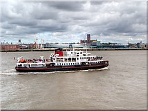 SJ3389 : Mersey Ferry 'MV Royal Iris of the Mersey' by David Dixon