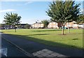 Riding Fields Square - Thompson Avenue