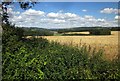 Farmland near Newenham Abbey