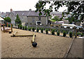 Play area: Cardigan Castle