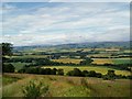 Grassland above Strathmore