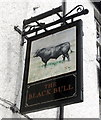 SE0399 : Inn sign of the Black Bull at Reeth by Bill Harrison