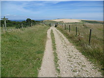 TQ3112 : The South Downs Way looking towards Ditchling Beacon by Marathon