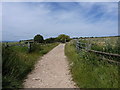 South Downs Way towards New Barn Farm