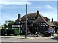 Racing Greyhound, Ramsgate