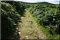 Bridleway from Cator Gate