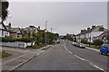 Falmouth : Dracaena Avenue A39