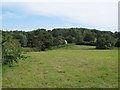 Footpath over grass field, near Horkesley Hall, Little Horkesley