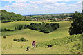 Montacute from the South