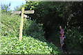 Footpath junction to Manor Farm, Odcombe