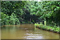 Trent & Mersey Canal near Wheelock