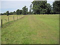 Footpath to Bradley