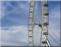 TQ3079 : The London Eye by Rossographer