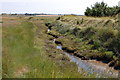 Path on to Ray Island