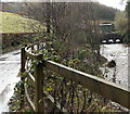 Upstream along the Angiddy towards Pont-y-Saeson