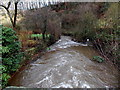 River Angiddy downstream from Pont-y-Saeson