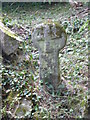 Celtic cross in the grounds of Bosvathick - 2