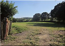 SY3695 : Field near Wootton Fitzpaine by Derek Harper