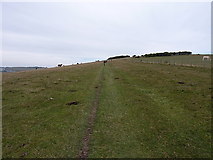 TQ4305 : Approaching Itford Hill by Richard Law