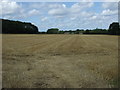 Stubble field off Cuckoofield Lane