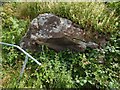 Exposed rock beside path