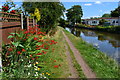 Towpath colour on the edge of Penkridge