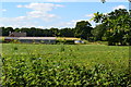 View across field from footpath near Lynehill Bridge