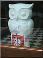 Snowy Owl behind glass