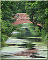 Burstwick Drain in Hedon