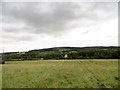 Looking north from south of Malton