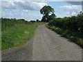 NU1626 : Minor road towards Ellingham  by JThomas