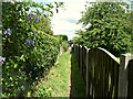 Path linking Longshaw Common and Longshaw Avenue, Billinge