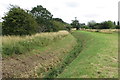 Curving drainage ditch by the path