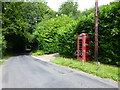 Near Beeches Lodge in Great Sandhurst Woods