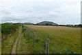 Llyn coastal path