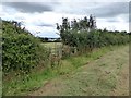 Stile with a view of Chulmleigh houses