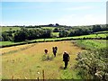 Llwybr Tal y Bryn Path