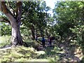 Llwybr Cwm Bedw Path