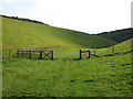 Open gate in Frendal Dale