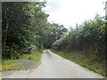 Lane approaching Rhos Farm