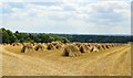 Stooks, Upper Chute, Wiltshire