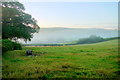 Dawn in the fields near Charleshayes Farm