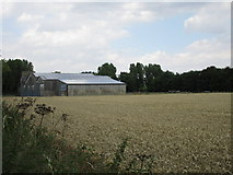 SE8145 : Farm buildings near Hayton by Jonathan Thacker