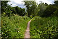 Path between mill stream and River Kennet