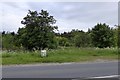 Milestone by Byland Moor Plantation