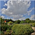 SU3433 : Houghton Lodge Gardens: Shrub borders in the walled garden by Michael Garlick